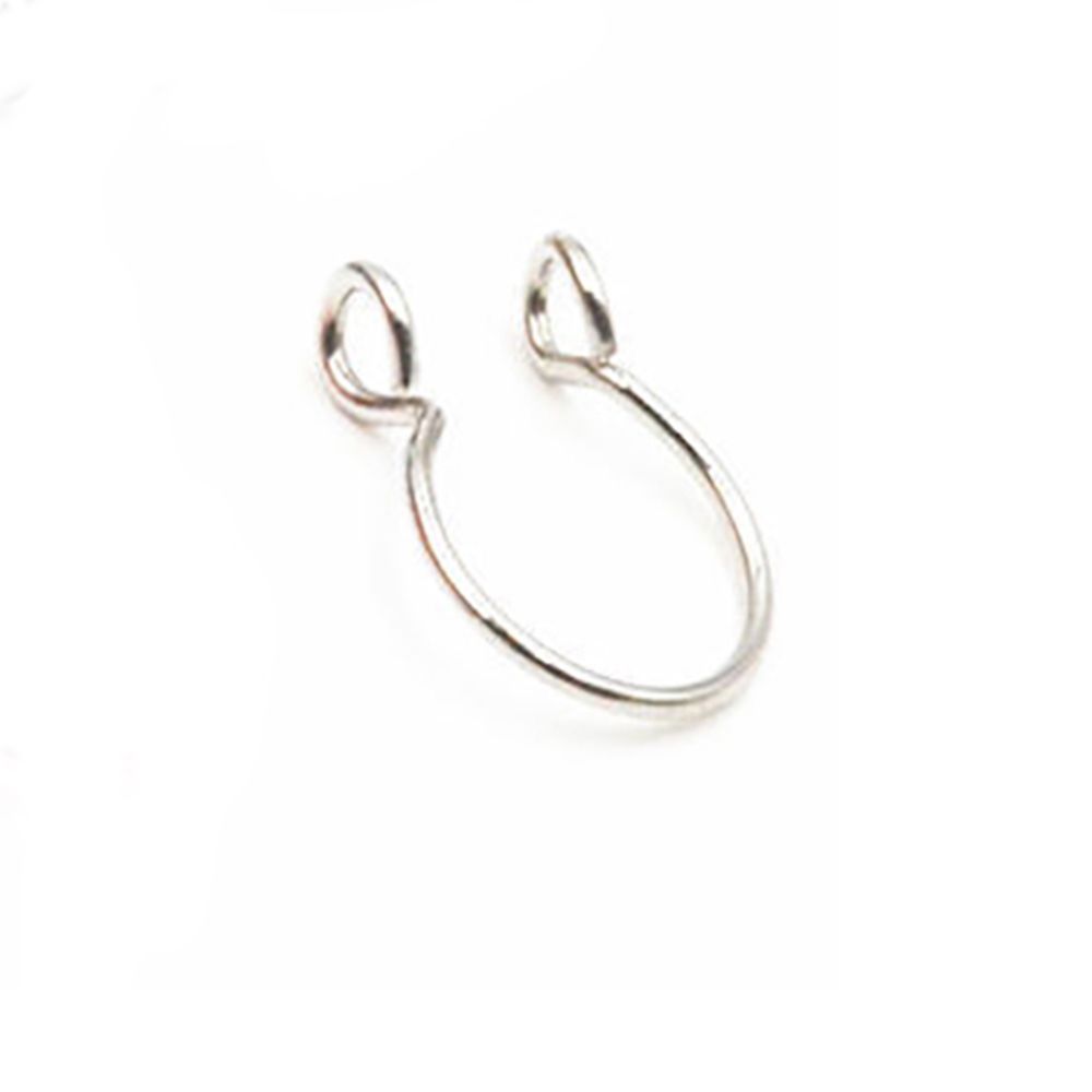 Chirurgische oorring van roest - Body Jewelry Surgical Steel recensie en prijs